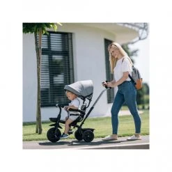 FreeON Triciclo Grigio Con Bastone